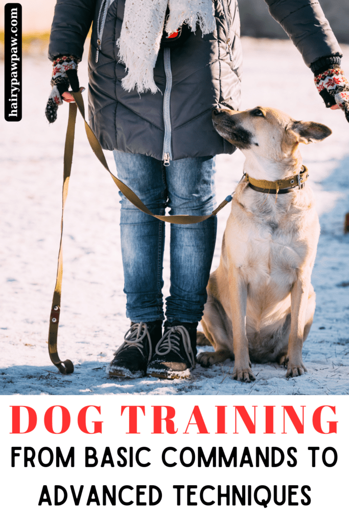 Unlock the secrets to effective dog training with our comprehensive guide, “Dog Training Tips & Tricks: From Basic Commands to Advanced Techniques.” Whether you’re a first-time dog owner or a seasoned pet parent, this blog post is packed with essential information to help you train your dog efficiently and humanely. We’ll take you through the foundational commands such as “sit,” “stay,” “come,” and “heel,” and then guide you to more advanced techniques like off-leash training, agility exercises, and behavior correction.

Discover the best practices for positive reinforcement, learn how to use clicker training to your advantage, and find out how to address common behavioral issues such as barking, chewing, and jumping. Our expert tips are designed to strengthen the bond between you and your dog, making training a fun and rewarding experience. With step-by-step instructions, helpful diagrams, and practical examples, this guide is your go-to resource for all things dog training.