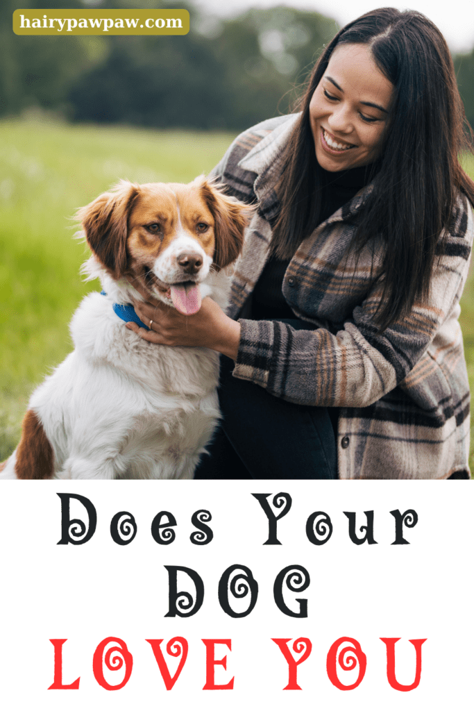 As dog owners, we often wonder how our furry friends feel about us. Do they really love us, or are we just the ones who provide food and shelter? Understanding the signs of a dog’s love can strengthen the bond between you and your pup, making your relationship even more special. In this blog, we’ll explore the top 10 ways to know if your dog truly loves you.