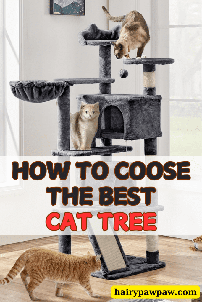 Best Affordable Cat Trees and Towers for Every Cat Owner
Are you looking to enhance your cat’s environment and keep them entertained for hours?  Cat trees and cat towers are essential pieces of furniture that every cat owner should consider. Not only do they provide a dedicated space for your feline friend to play, scratch, and relax, but they also offer numerous health and behavioral benefits.