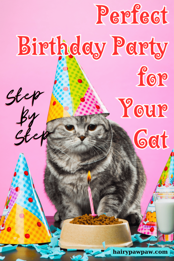 Throwing a birthday party for your  cat can be a fun and memorable experience. First, it allows you to celebrate your furry friend’s special day while also indulging in some creative planning. Plus, it’s a great opportunity to spoil your cat with treats, toys, and attention. Whether you’re inviting a few friends or just planning a small family gathering, you can create a fantastic party atmosphere. With the right steps, your cat’s birthday party will be a hit. From choosing a theme to planning the perfect menu, I’ll guide you through every detail to ensure the celebration is a success.