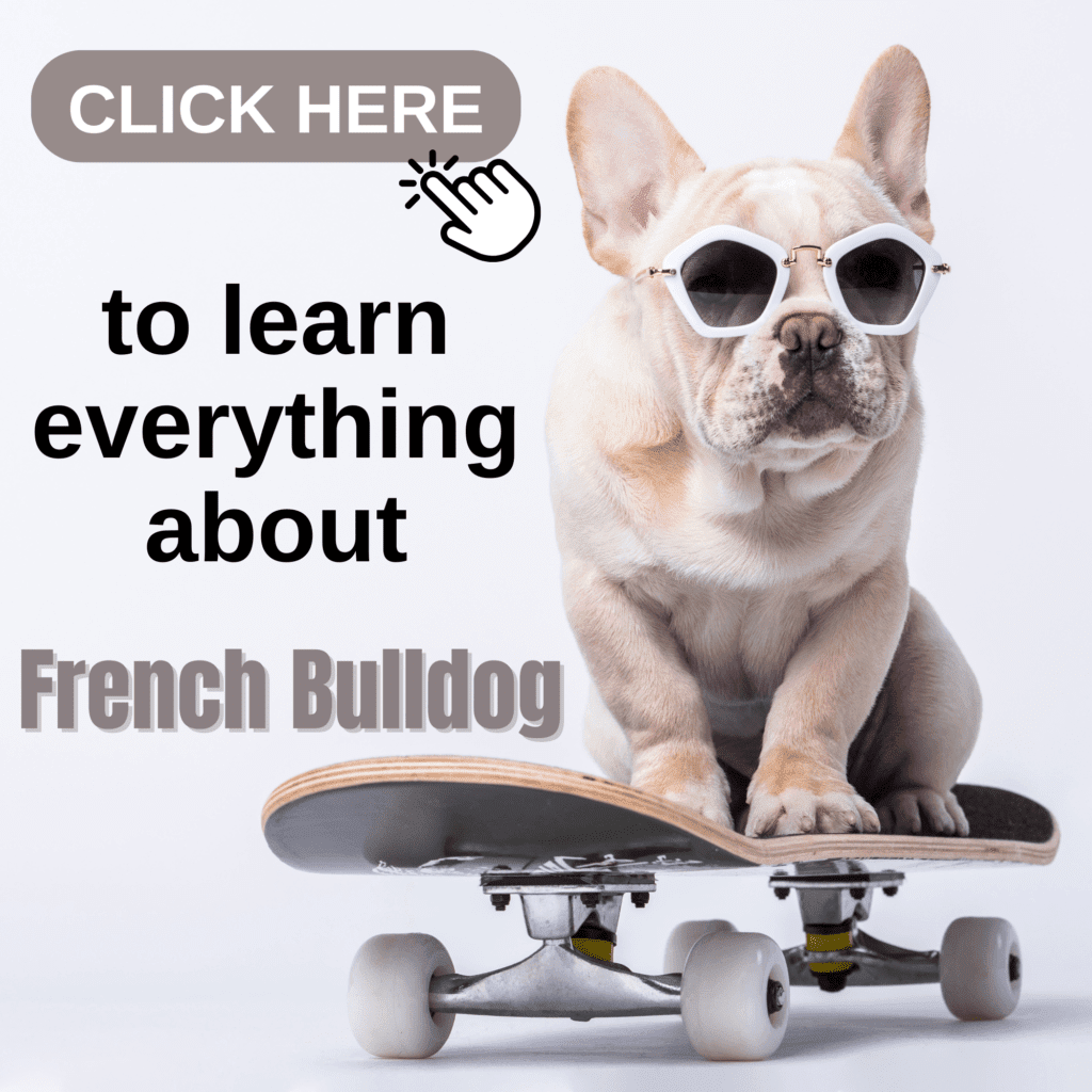 The Ultimate Guide to French Bulldog: Everything to Know

Dive into the world of French Bulldogs with this ultimate guide, covering every aspect of this popular breed. Discover their unique history, playful personality, and why they’re cherished for their affectionate nature and distinctive “bat ears.” This comprehensive guide provides expert insights on  French Bulldog care, including training tips, diet recommendations, grooming needs, and health considerations. Whether you’re a new owner or a devoted fan, find everything you need to raise a happy, healthy French Bulldog.