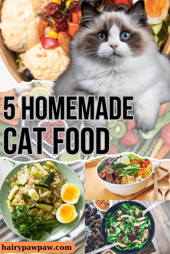 5 Healthy Homemade Cat Meals Your Feline Will Love

Treating your  cat to homemade meals can be a rewarding way to ensure they’re getting both delicious and nutritious food. In this blog, we explore five easy-to-make recipes that are perfect for keeping your feline friend healthy and satisfied. From Chicken and  Pumpkin Stew to Tuna and Spinach Blend, each meal is crafted to provide essential nutrients while catering to your cat’s taste preferences. These recipes not only support your cat’s overall well-being but also offer a variety of flavors and textures that will keep them excited about mealtime. Discover how simple ingredients can make a big difference in your cat’s diet and enjoy the benefits of homemade pet food.