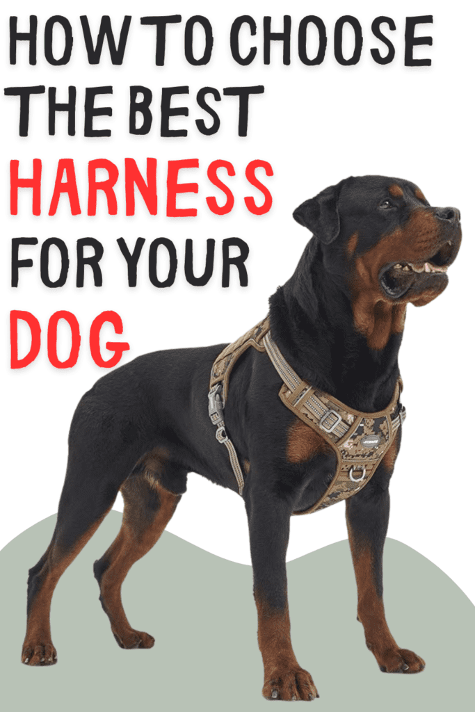 The Best Dog Harnesses: Types & How to Choose

The Complete Guide to Dog Harnesses: How to Choose the Best Type, Fit, and Brand for Your Canine Companion’s Safety and Comfort

When it comes to walking your dog, a harness can be a game-changer. Unlike traditional collars, which can put pressure on your dog’s neck and lead to injury, harnesses distribute the force across the chest and back, making walks safer and more comfortable. Whether you have a tiny Chihuahua or a giant Great Dane, finding the right harness is crucial. In this comprehensive guide, we’ll dive into everything you need to know about dog harnesses, from the different types available to tips on how to choose the best one for your furry friend.