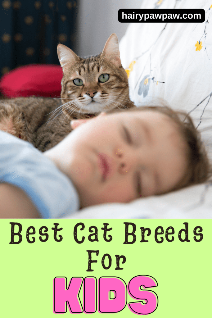 Best Cat Breeds for Families: Finding the Perfect Feline Companion

Choosing the right cat breed for your family can make all the difference in creating a harmonious home. Cats are known for their independent nature, but some breeds are particularly well-suited for family life, offering affectionate, patient, and playful companionship. Whether you have young children, other pets, or just a bustling household, here are the best cat breeds that thrive in a family environment.