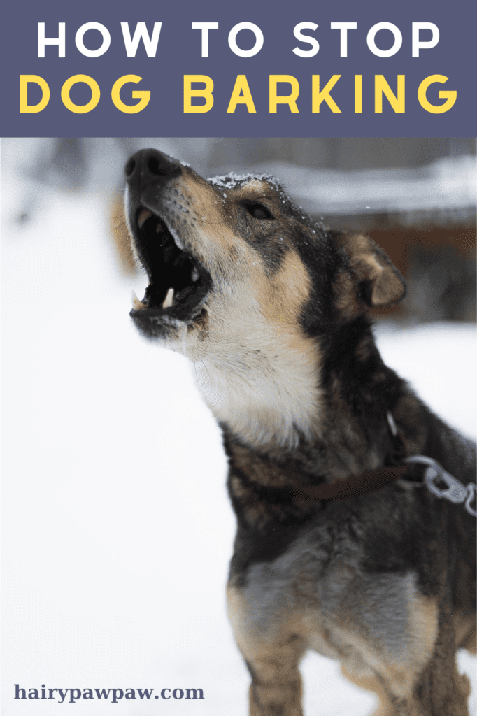 How to Stop Dog Barking: Proven Techniques