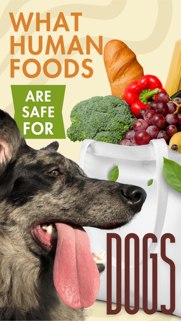 Safe Human Foods for Dogs and Cats: What You Need to Know
As  pet owners, we often find ourselves wanting to share our favorite foods with our furry friends. Those pleading eyes and wagging tails make it hard to resist! However, not all human foods are safe for  dogs and cats. Feeding your pets the wrong foods can lead to serious health issues, from mild digestive problems to severe, life-threatening conditions.

In this comprehensive guide, we’ll explore which human foods are safe for your beloved pets and which ones to avoid. By understanding the dos and don’ts of pet nutrition, you can keep your furry companions healthy, happy, and well-fed. Whether you’re a seasoned pet parent or a new pet owner, this article will provide valuable insights to ensure your pets’ dietary needs are met safely. Let’s dive in and learn how to make informed choices about what to feed (or not feed) your four-legged family members.