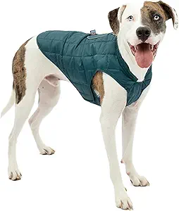 Kurgo Loft Dog Jacket, Reversible Dog Coat, Wear with Harness or Sweater, Water Resistant, Reflective, Winter Coat for Large Dogs (Ink Blue, L)