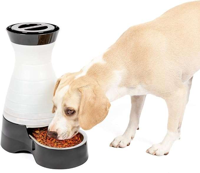 FEED ANY TIME: Gravity feeder lets your pet eat food whenever they're hungry
FOOD STORAGE: Medium-sized dispenser holds 4 pounds of dog or cat food; small size holds 2 pounds
EASY TO CLEAN: Feeder comes apart easily and the stainless steel bowl is dishwasher safe
SPACE-SAVING STYLE: The slim design looks great in kitchens, laundry rooms and other areas of your home; a matching water station with a water filter is also available
U.S.-BASED CUSTOMER CARE: Our pet product experts are here to help you and your pet and are available by phone, email or chat if you have any questions
QUALITY PROMISE: PetSafe brand has been a trusted global leader in pet behavior, containment and lifestyle innovations since 1998 to help keep your pet healthy, safe and happy