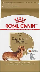 Nutrition Guide for Dachshund
