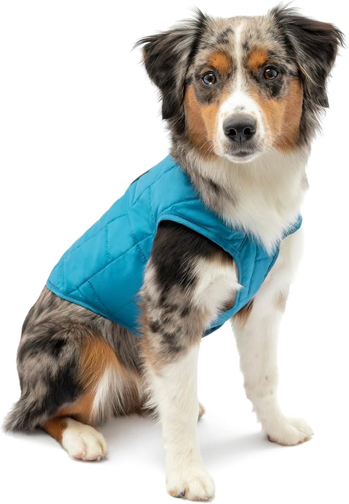 REVERSIBLE, REFLECTIVE, & ADJUSTABLE: Stylish reversible dog vest is perfect to keep your dog cozy during chilly fall months & cold winter months when out on walks, hikes, & runs; reflective piping for visibility in the dark; adjustable hook & loop belly closure for custom fit
WATER RESISTANT & LIGHTWEIGHT: Just the right amount of coverage to keep your active dog warm without overheating; athletic fit for complete freedom of movement; water resistant, microtomic, ripstop material for durability & doesn’t make dog itchy like other jackets
WEAR WITH HARNESS: Leash access zipper opening on back allows complete access to dog’s harness so you can attach a leash & go; Easy on & off is perfect for walking, running, or hiking during colder months; Machine wash gentle, air dry
SIZE & FIT: X-Small fits dogs with 12" neck, 15-17" chest, and 10" back; Please measure dog around widest part of chest & lower neck; back coverage will vary; If dog is in between sizes, size up for more coverage