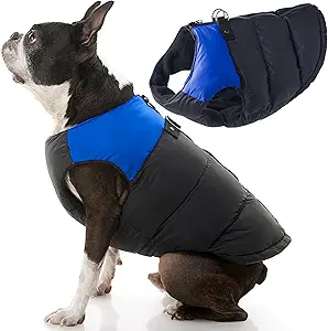 Gooby Padded Vest Dog Jacket - Blue, Large - Warm Zip Up Dog Vest Fleece Jacket with Dual D Ring Leash - Winter Water Resistant Small Dog Sweater - Dog Clothes for Small Dogs and Medium Dogs