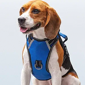 【Harness For Medium Dogs】Kindly choose the size based on measuring dog’s neck and the widest part of the dog’s chest before purchasing. M:Neck Girth:13.7"-19" , Chest Girth: 19"-27".
【No Pull & No Chock】Puwihoe no-pull dog harness comes 2 sturdy Metal rings for leash attachment. The front on the chest works perfect for training a dog that pulls all the time. The back one is for relaxed walk.
【Sturdy handle & Reflective Straps】Our dog vest harness with a sturdy handle is on the back for easy to grabbing the dog when you talk to your friend or there are some accidents and assist dogs into the car. Amazing reflective design around this easy control dog harness and keep visible during night-time walks and add the safety.
【Durable Material & Breathable Pad】 Heavy duty nylon material provides stronger and wearable outer layer,which is suitable for all-season use. Soft and breathable air mesh gives fantastic protection and marvelous comforts.
【Fast-release Buckle & Adjustable Clips】Just slide the pet dog harness over your pups head and then fasten 2 buckles on the side. And 4 adjustable clips help you easily adjust the harness to a perfect fit for your dog.