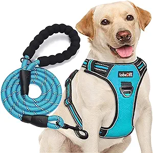 【 NO PULL & NO CHOKE 】tobeDRI dog harness featured with 2 strong metal delta shape-rings on front and back for leash attaching, front clip prevent pulling and back for relaxed walking. The 2 rings are sewn with durable thick nylon webbing and enforced box stitches and bartacks that preventing ripped off even pulling hardly. Pulling pressure is evenly distributed to the body to prevent choking
【 EASY TO USE AND LOCKING SECURITY 】The dog harness with simple design and quick snap buckles which make it easy to put on and take off. Locking feature on both snaps makes it more secure, 100% ensures no accidentally detachment. 4 easy size adjustors at neck and chest for easy adjusting to fit your dog perfectly, even with some room of growth. Perfect for daily walking, running, hiking, training, hunting, outdoor adventure and more!