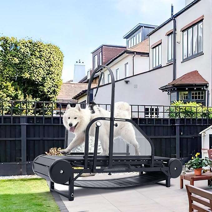 【HIGH QUALITY NON-MOTOR IS SAFER】 Our non-motor design allows your dog to move freely and stop at any time if he doesn't want to run. Dog treadmills are upgraded thick steel frame, the use of iron chains above the frame to fix the position of the dog, to avoid the dog running or losing balance during exercise, multiple protective measures to make the dog safer during exercise.
【CUSTOMIZED EXERCISE/RECORDING PROCESS】 Since dogs are mostly energetic, they need to maintain an appropriate amount of exercise every day. You can make a reasonable fitness plan for your dog through the treadmill timer to help your dog record the running speed, calories consumed and miles exercised. You can also pay attention to your dog's exercise status and energy in real time, so that your dog can exercise healthily and release happiness.
【INTIMATE DESIGN MORE COMFORTABLE】 Whether the weather is too cold or too hot, the road is not too PAWS friendly, the non-slip and wear-resistant track can prevent your dog's PAWS from being scraped, providing a comfortable and convenient way for your dog to exercise daily. You can also manually adjust the speed of your dog's movement through the brake valve, ensuring the safety of your pet and allowing your dog to exercise properly.which is also a perfect dog gift.
【BURST OF ENERGY, EFFECTIVE EXERCISE】 Dog treadmill has five gear slope adjustable can help the dog stage fitness training, different gradients can bear the weight is not the same, the maximum load can reach 300lbs, effective exercise can improve your dog's blood circulation, help burn fat faster. If it is a family daily exercise, it is recommended to use less than 3, and more than 3 can be used for professional training.
【INSTALLATION INSTRUCTIONS AND VIDEOS】 Please read the instruction manual before using the treadmill. We will also provide a detailed installation video link for your quick understanding and installation. Do not tighten all bolts until the installation is complete. If you have any questions during the installation process, please contact us.
【FIRST-TIME SERVICE】 All accessories can be replaced free of charge if damaged or lost in transit. Our customer service team is always ready to assist you 24 /8 hours and we will provide the best solution for any assembly and fitting issues at the first time.