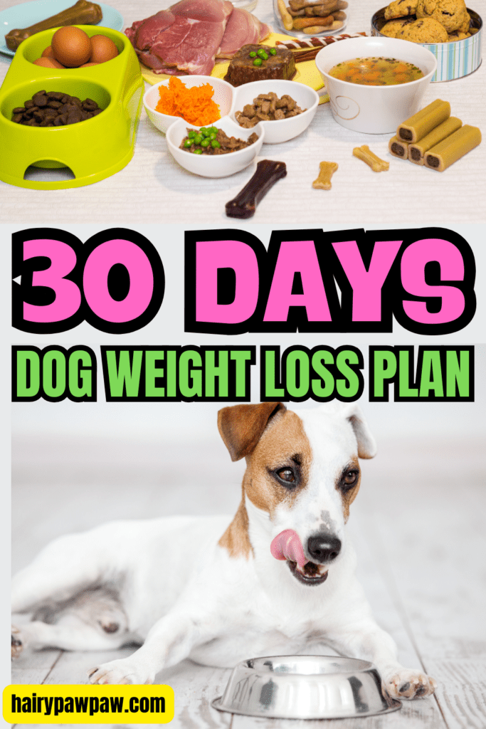 Conclusion: Building a Healthier Future Together
Completing the 30-Day Dog Weight Loss Plan is a significant step toward improving your dog’s health. Remember that consistency is key. By following the structured plan, you not only help your dog lose weight but also foster a strong bond through shared activities. Focus on the positive changes you both experience, from increased energy levels to a happier, more active lifestyle.

Transitioning your dog to a healthier weight can take time, so be patient and supportive throughout the journey. Celebrate each small victory and maintain the new habits beyond the 30 days. Your dog’s well-being and happiness depend on it, and you both deserve the rewards of a healthier life together!