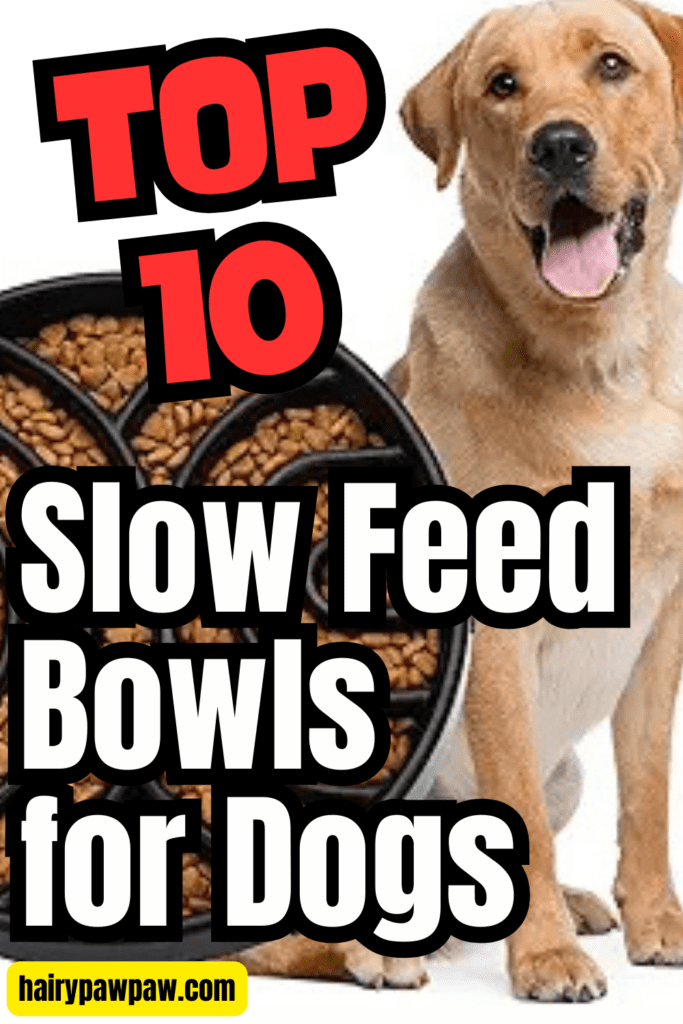 10 Slow Feed Bowls for Dogs: A Guide to Better Eating

As dog owners, we love to see our furry friends enjoy mealtime. However, watching them gulp down their food in seconds can be alarming. Rapid eating not only poses a choking hazard but can also lead to serious health issues, including bloating and digestive problems. Fortunately, slow feed bowls provide a simple and effective solution to promote healthier eating habits. In this guide, I will explore the top 10 best-selling slow feed bowls for dogs, highlighting their unique features and explaining why you should consider incorporating one into your dog’s mealtime routine.