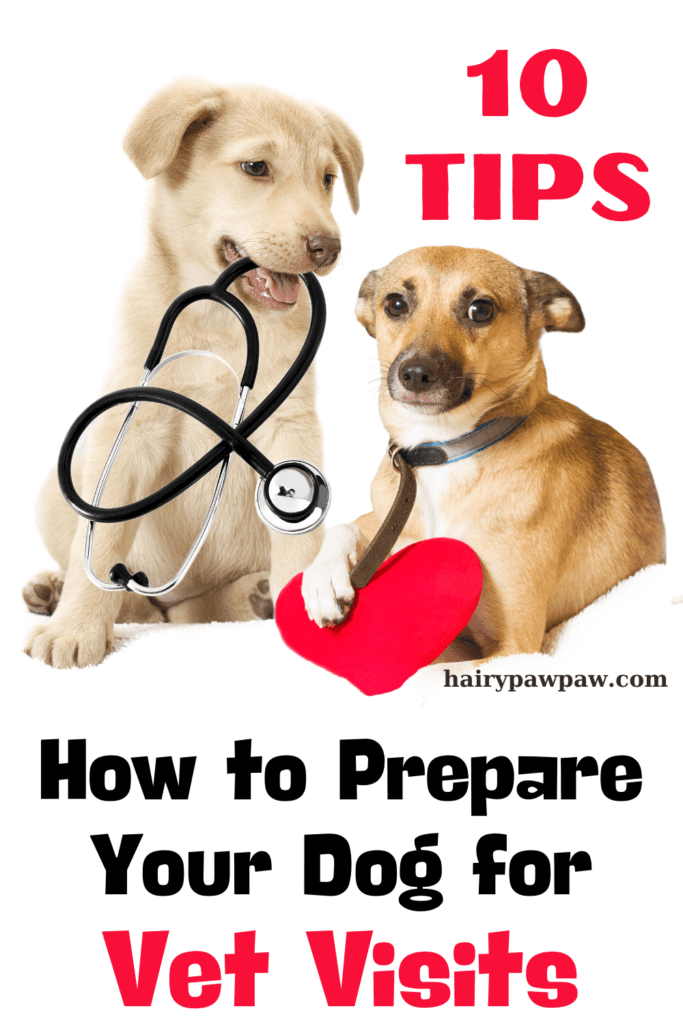 10 Essential Tips to Help Dogs Overcome Their Fear of Vet Visits: A Comprehensive Guide for Pet Owners

Visiting the vet can be a stressful experience for many dogs. The unfamiliar environment, strange smells, and the possibility of uncomfortable procedures can make even the most well-behaved dog anxious. However, with some preparation and positive reinforcement, you can help your dog feel more comfortable during vet visits. Here are some tips to ease your dog’s fear of the vet: