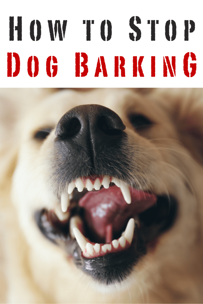 How to Stop Excessive Dog Barking: Proven Techniques for a Quieter Home

Excessive barking can be a significant challenge for dog owners. While barking is a natural way for dogs to communicate, incessant barking can lead to frustration and stress for both you and your neighbors. Understanding why your dog barks excessively and implementing effective strategies to manage and reduce this behavior can help restore peace to your home. This blog provides a detailed guide on addressing excessive barking, covering causes, prevention strategies, and practical solutions.