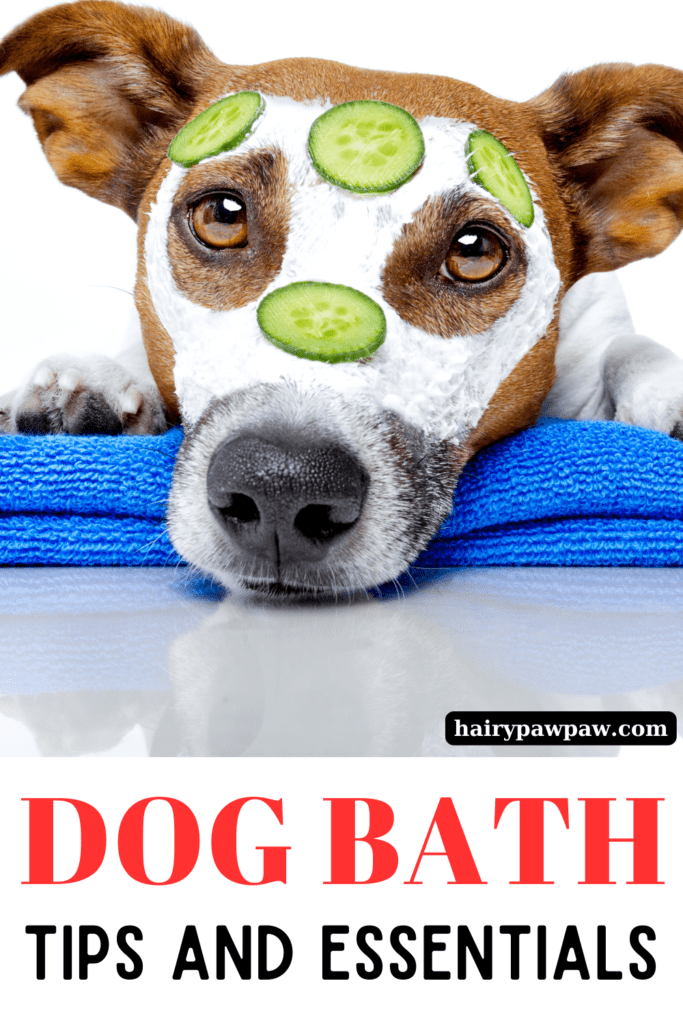 Bathing your dog doesn’t have to be a daunting task. With the right tools, preparation, and a gentle approach, you can make bath time a positive experience for both you and your dog. Keep these tips and essentials in mind, and you’ll be well on your way to a clean, happy pup!