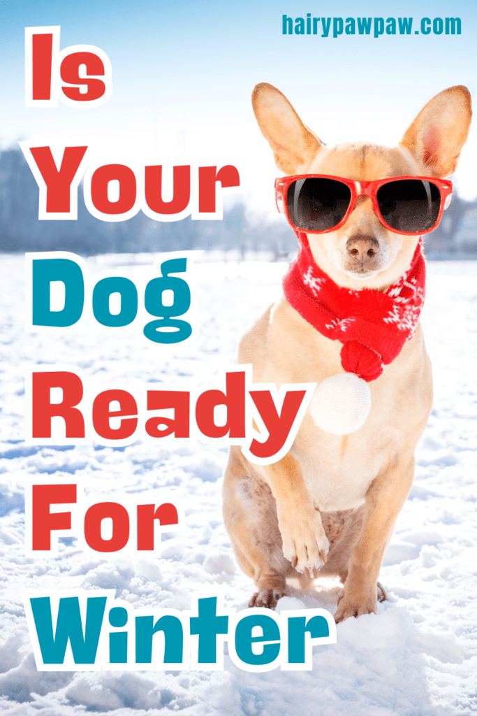 Is Your Dog Ready for Winter? Essential Tips for Keeping Your Pup Cozy and Healthy

As winter approaches, it’s crucial to prepare not just ourselves, but also our beloved dogs for the colder months. Winter can bring a host of challenges for pets, from harsh weather conditions to changes in their daily routines. To ensure your dog stays happy and healthy throughout the season, follow these essential tips.