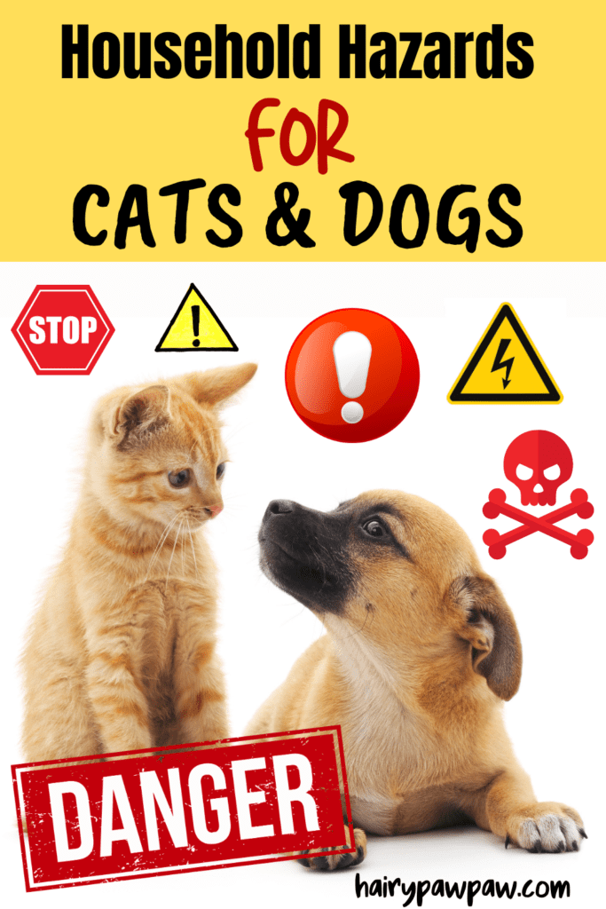 Household Hazards for Pets: What You Need to Know

As pet owners, we want to create a safe and loving environment for our furry friends. However, many household items and conditions can pose significant risks to their health and well-being. In this blog, we will explore common household hazards, how they can affect your pet, and practical steps to minimize these risks.