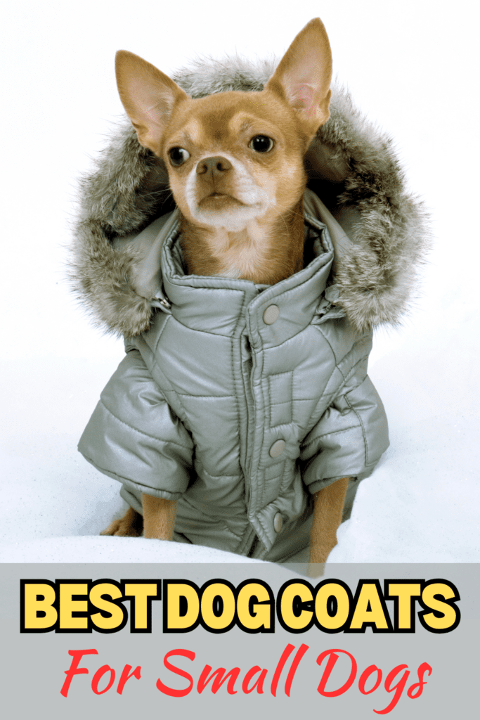 Why Your Small Dog Needs a Winter Coat
Small dogs, with their less dense undercoats and smaller body mass, lose heat much quicker than larger dogs. This leaves them at risk for hypothermia, frostbite, and other cold-related health issues. A well-designed winter coat can help protect your dog from the elements by providing insulation, shielding against wind, and keeping them dry in the snow.

Key Features to Look for in a Winter Coat for Small Dogs
Before diving into the top coat options, here are the must-have features to consider when shopping for a winter jacket for your small dog:

Insulation: A high-quality coat should keep your dog warm even on the coldest days. Look for coats made with fleece, down, or polyester insulation, which trap heat without adding too much bulk.
Water Resistance: Wet weather can make your dog cold very quickly. A waterproof coat will keep your dog dry and comfortable. Look for coatings or fabrics that are water-resistant or waterproof.
Adjustability: Small dogs come in all shapes and sizes. A coat with adjustable straps, Velcro fasteners, or stretchable elements will ensure a snug and comfortable fit.
Reflective Elements: Winter days are shorter, and it’s important that your dog is visible during low-light conditions. Choose coats with reflective strips or bright colors to enhance visibility.
Ease of Use: Quick and easy to put on and take off coats are a must for dogs that dislike being dressed. Velcro closures or zippers can make the process less stressful for both you and your dog.
Durability: Small dogs tend to be very active, so ensure that the coat is durable enough to withstand frequent use, especially if your dog enjoys outdoor activities.
Top 10 Best Winter Coats for Small Dogs