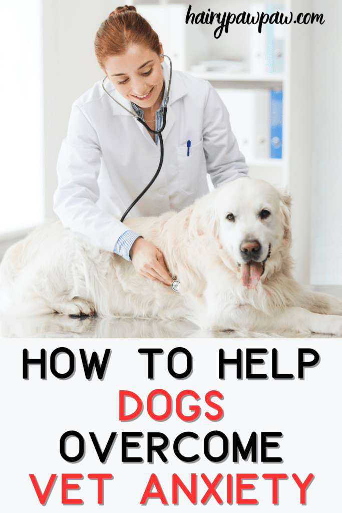 10 Essential Tips to Help Dogs Overcome Their Fear of Vet Visits: A Comprehensive Guide for Pet Owners

Visiting the vet can be a stressful experience for many dogs. The unfamiliar environment, strange smells, and the possibility of uncomfortable procedures can make even the most well-behaved dog anxious. However, with some preparation and positive reinforcement, you can help your dog feel more comfortable during vet visits. Here are some tips to ease your dog’s fear of the vet: