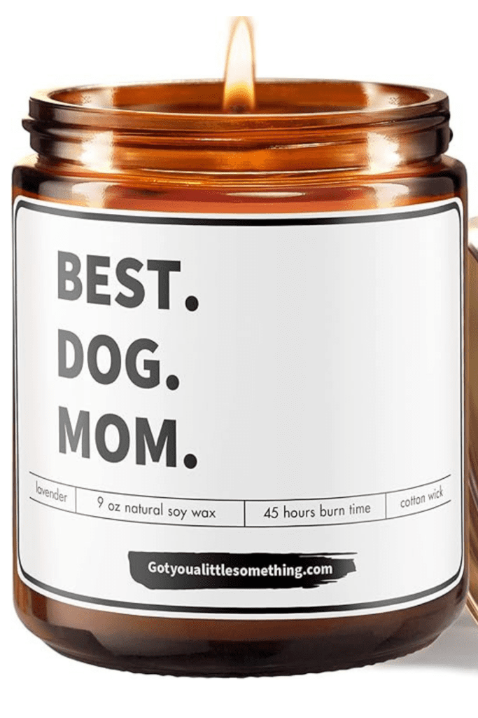 Got You A Little Something Dog Mom Gifts for Women - Funny Lavender Soy Candle for Dog Moms - Christmas Gifts from Dog, Present Ideas for Dog Owners, Dog Lovers Birthday Gift for Her