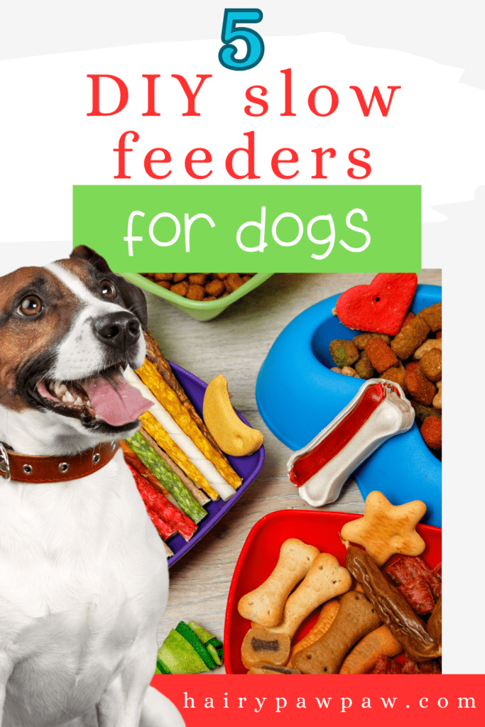 How to Make DIY Slow Feeders for Dogs at Home

Does your dog eat too fast? Rapid eating can lead to choking, indigestion, and other health concerns. Slow feeders are an effective way to solve this problem. While store-bought options work well, making your own DIY slow feeders at home offers a creative and budget-friendly solution. Let’s explore how you can craft unique slow feeders to help your furry friend enjoy mealtime at a healthier pace.