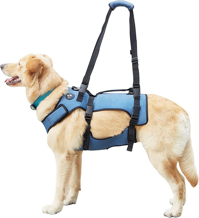 Coodeo Dog Lift Harness, Full Body Support & Recovery Sling, Pet Rehabilitation Lifts Vest for Old Dog with Arthritis Walk(Bule,L)