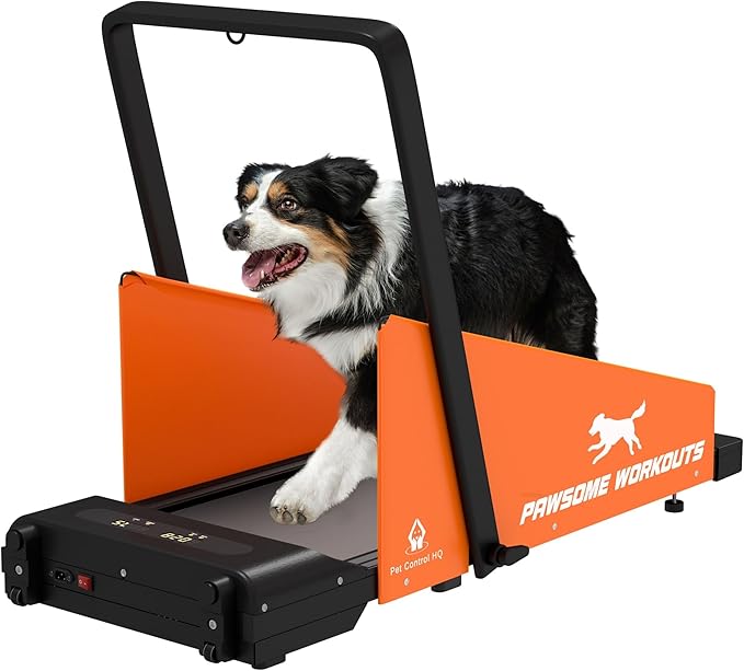 Dog Treadmill for Small and Medium Size Dogs - Pet Running Machine - Dog Pacer Training Pad

Boost your dog’s health: The Pet Control HQ dog treadmill is designed to benefit your pet's well-being. It supports better blood circulation, helps control blood pressure, and aids in weight management. Our treadmill is a great ally in caring for your dog's health
Maintain your dog’s routine: The dog treadmill offers a convenient way to exercise and train your dog, even when you can't go outside or are too busy. It's the perfect solution for maintaining a regular training routine, regardless of the weather
Durable & compact: The Pet Control HQ dog treadmill is made with high-quality materials for long-lasting use. It is sturdy, reliable, and perfect for small spaces. Easily store it away when not in use with the help of the 2 wheels
Suitable for small and medium-sized dogs: The treadmill's wide 37" x 15" (L x W) running belt ensures your dog can run freely and comfortably. The running belt 4-layer design provides excellent shock absorption and slip resistance, protecting your dog's joints and muscles
Safety as a priority: The treadmill has a quiet motor and is designed with your dog's safety in mind. It features a remote control, a safety key, an emergency stop button, and side safety fences to help your pet stay focused while running