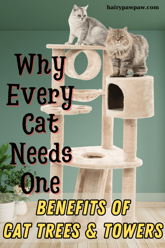 Top Cat Trees and Towers for Happy and Healthy Cats

Are you looking to enhance your cat’s environment and keep them entertained for hours? Cat trees and cat towers are essential pieces of furniture that every cat owner should consider. Not only do they provide a dedicated space for your feline friend to play, scratch, and relax, but they also offer numerous health and behavioral benefits.