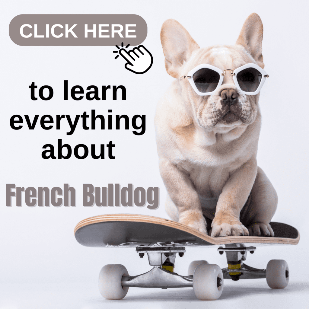 Ultimate Guide to French Bulldog: You Need to Know!

Dive into the world of French Bulldogs with this ultimate guide, covering every aspect of this popular breed. Discover their unique history, playful personality, and why they’re cherished for their affectionate nature and distinctive “bat ears.” This comprehensive guide provides expert insights on French Bulldog care, including training tips, diet recommendations, grooming needs, and health considerations. Whether you’re a new owner or a devoted fan, find everything you need to raise a happy, healthy French Bulldog.