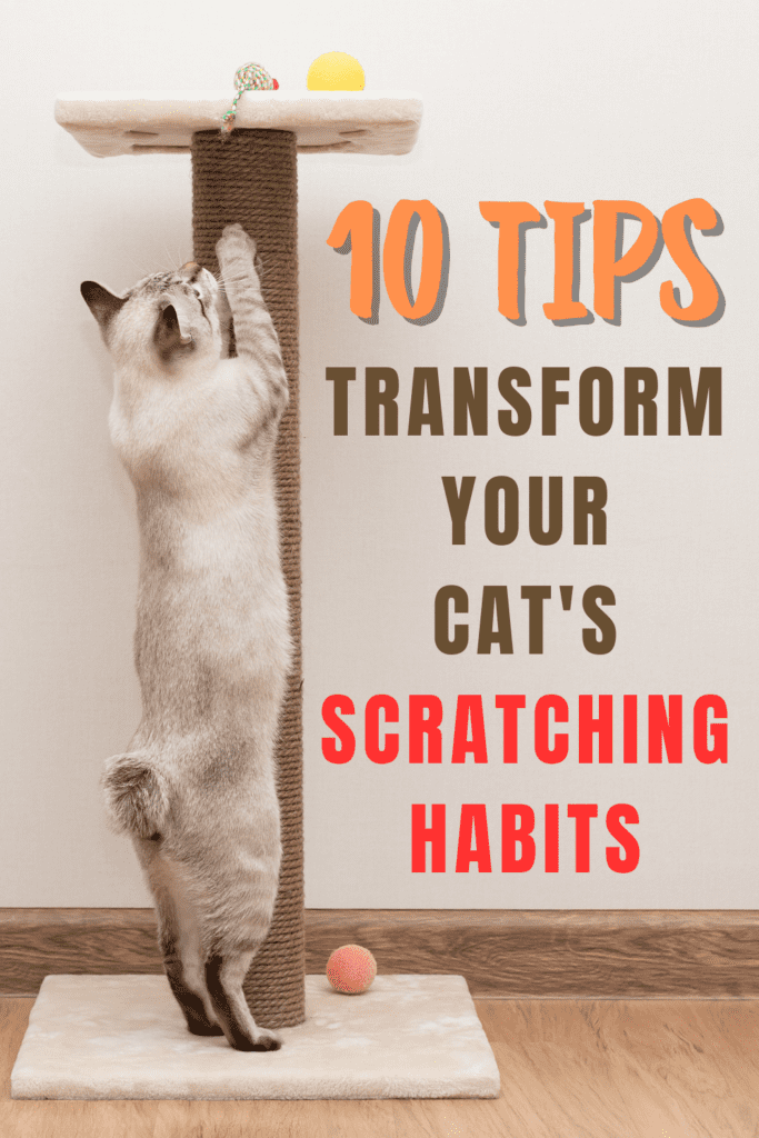 How to Train Your Cat to Use a Scratching Post

Cats have a natural instinct to scratch, which helps them keep their claws healthy, mark their territory, and stretch their muscles. However, training your cat to use a scratching post instead of your furniture can be a challenge. With the right approach, you can guide your feline friend to happily use their scratching post. Here’s a comprehensive guide to help you train your cat to scratch where you want them to.