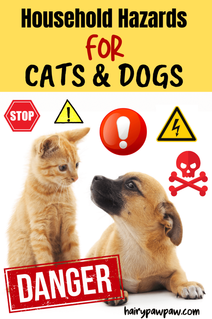 1. Toxic Foods: Avoid These Common Culprits
Many common foods can be toxic to pets, leading to severe health issues. Chocolate, grapes, onions, garlic, and avocados top the list of foods you should never share with your pets. Even small amounts can cause nausea, vomiting, or more severe complications.

What to Do:
Keep these foods out of reach. Always store food in closed cabinets or containers.
Educate family and guests about the dangers of sharing food with pets.