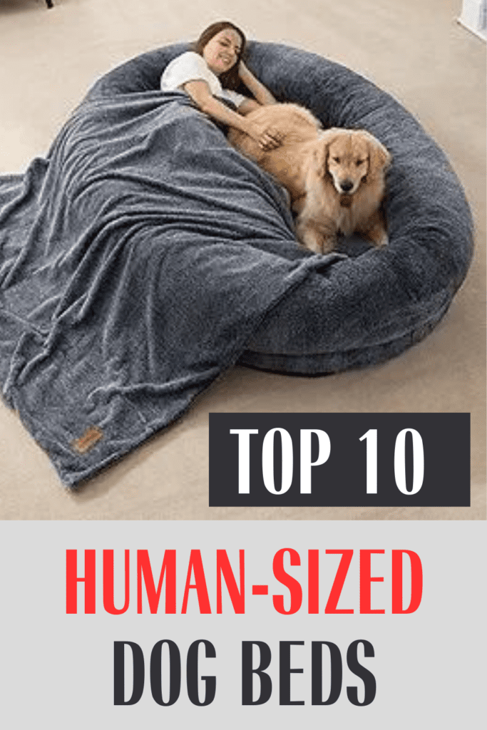 The Ultimate Guide to Human-Sized Dog Beds

When it comes to pampering your dog, why not go big? Human-sized dog beds are the latest trend for pet owners who want to provide their furry friends with unparalleled comfort. These oversized beds offer ample space for your dog to stretch out, snuggle, and even share the bed with their human companions. This guide will explore the benefits, types, and top picks for human-sized dog beds, ensuring that your  pet enjoys the ultimate in relaxation. 