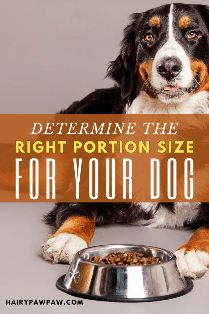 Determine the Right Portion Size for Your Dog

Feeding your dog the right amount of food is one of the most important aspects of their overall health and well-being. Whether you’re raising a puppy, caring for an adult dog, or managing a senior dog’s dietary needs, knowing the right portion size is crucial. Overfeeding or underfeeding can both lead to serious health problems such as obesity, malnutrition, and digestive issues.