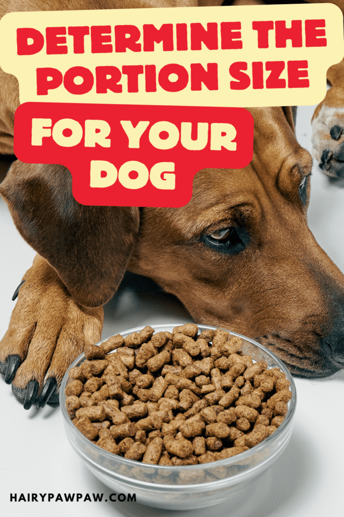 Determine the Right Portion Size for Your Dog

Feeding your dog the right amount of food is one of the most important aspects of their overall health and well-being. Whether you’re raising a puppy, caring for an adult dog, or managing a senior dog’s dietary needs, knowing the right portion size is crucial. Overfeeding or underfeeding can both lead to serious health problems such as obesity, malnutrition, and digestive issues. 