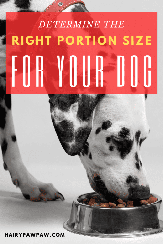 Determine the Right Portion Size for Your Dog

Feeding your dog the right amount of food is one of the most important aspects of their overall health and well-being. Whether you’re raising a puppy, caring for an adult dog, or managing a senior dog’s dietary needs, knowing the right portion size is crucial. Overfeeding or underfeeding can both lead to serious health problems such as obesity, malnutrition, and digestive issues.