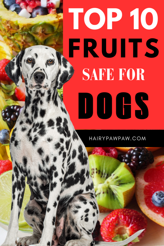 The Best Fruits Safe for Dogs

As a dog owner, you likely want to provide your furry friend with the healthiest and most nutritious diet possible. While commercial dog food often meets their basic nutritional needs, adding fresh fruits to your dog’s diet can be a great way to enhance their overall well-being. However, not all fruits are safe for  dogs, and it’s crucial to know which ones are best suited for your  pet.