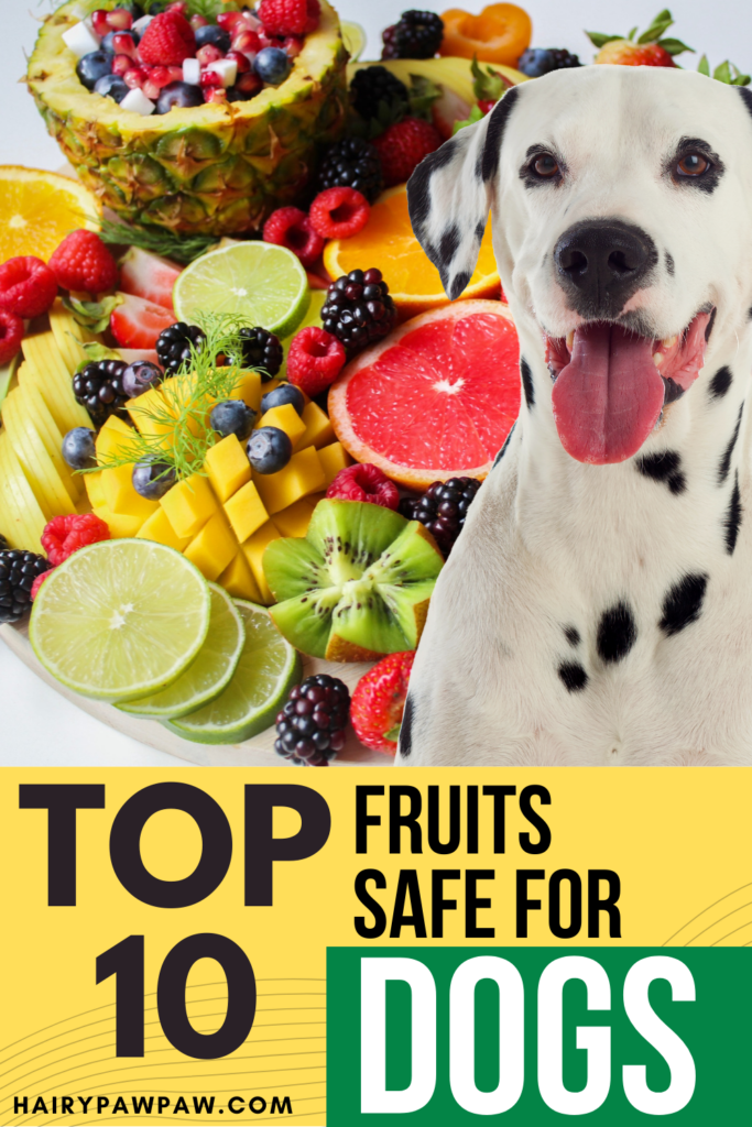 The Best Fruits Safe for Dogs

As a dog owner, you likely want to provide your furry friend with the healthiest and most nutritious diet possible. While commercial dog food often meets their basic nutritional needs, adding fresh fruits to your dog’s diet can be a great way to enhance their overall well-being. However, not all fruits are safe for  dogs, and it’s crucial to know which ones are best suited for your  pet.