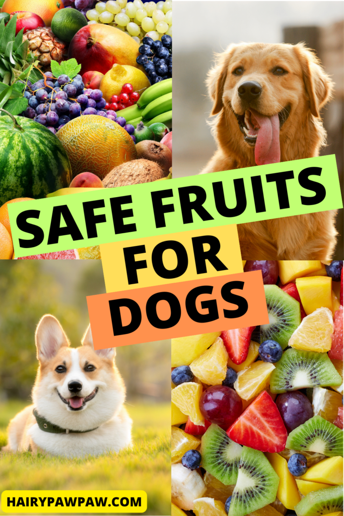 The Best Fruits Safe for Dogs

As a dog owner, you likely want to provide your furry friend with the healthiest and most nutritious diet possible. While commercial dog food often meets their basic nutritional needs, adding fresh fruits to your dog’s diet can be a great way to enhance their overall well-being. However, not all fruits are safe for  dogs, and it’s crucial to know which ones are best suited for your  pet.